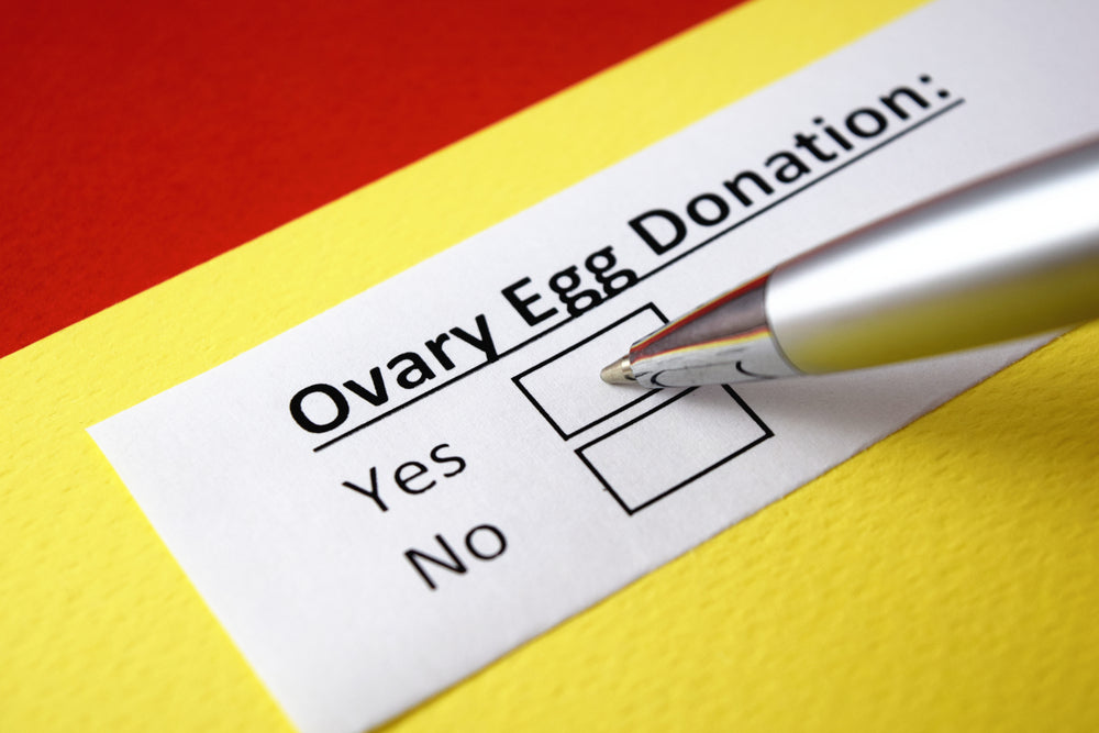 The Gift of Life: Egg Donation and Its Profound Impact on Donors and Recipients